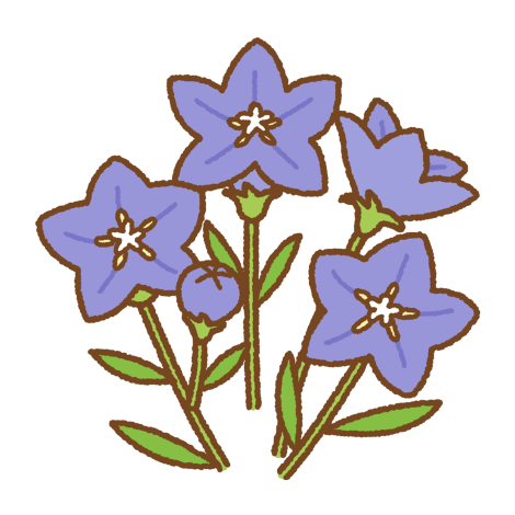 花菖蒲
